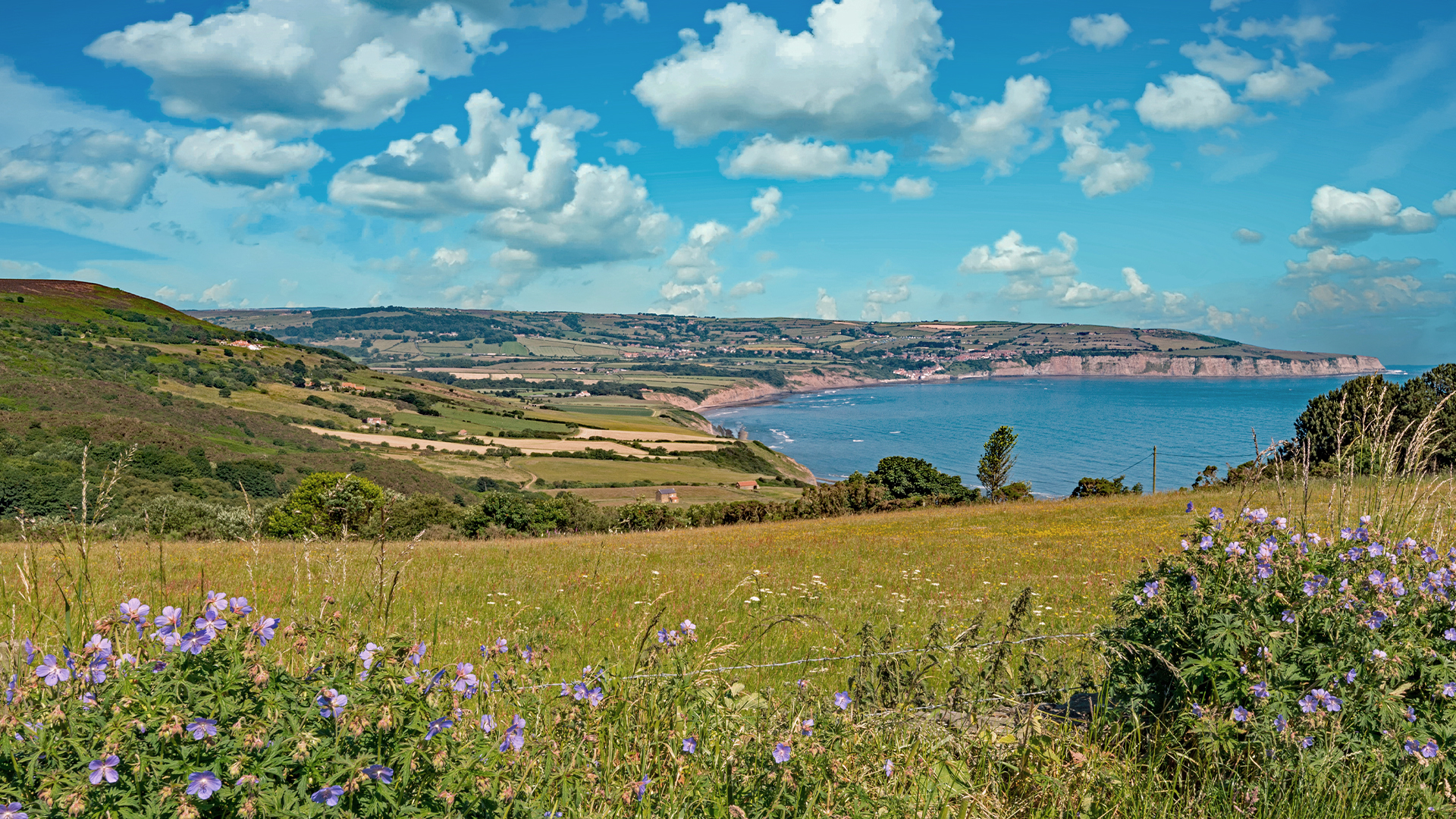 Wild Britain with Ray Mears - S3E7 - Yorkshire