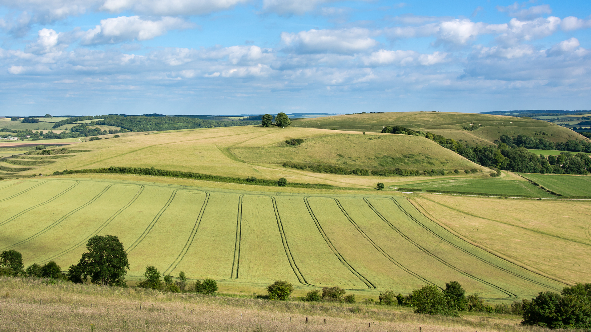Wild Britain with Ray Mears - S3E8 - Salisbury Plain