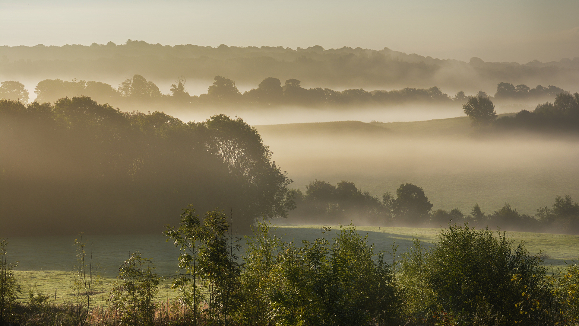 Wild Britain with Ray Mears - S3E9 - The Weald