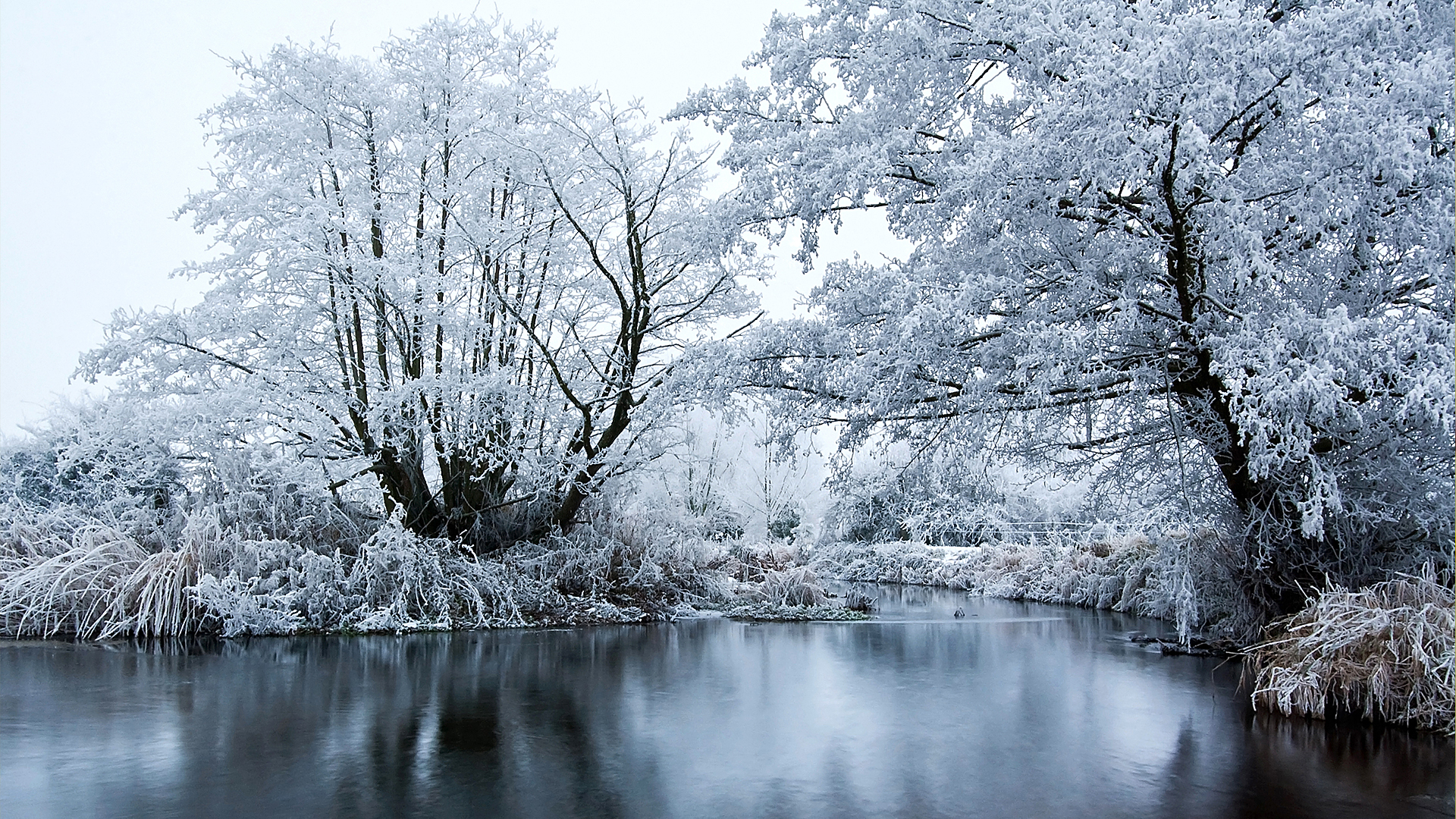 Wild Kingdom - E1 - Winter