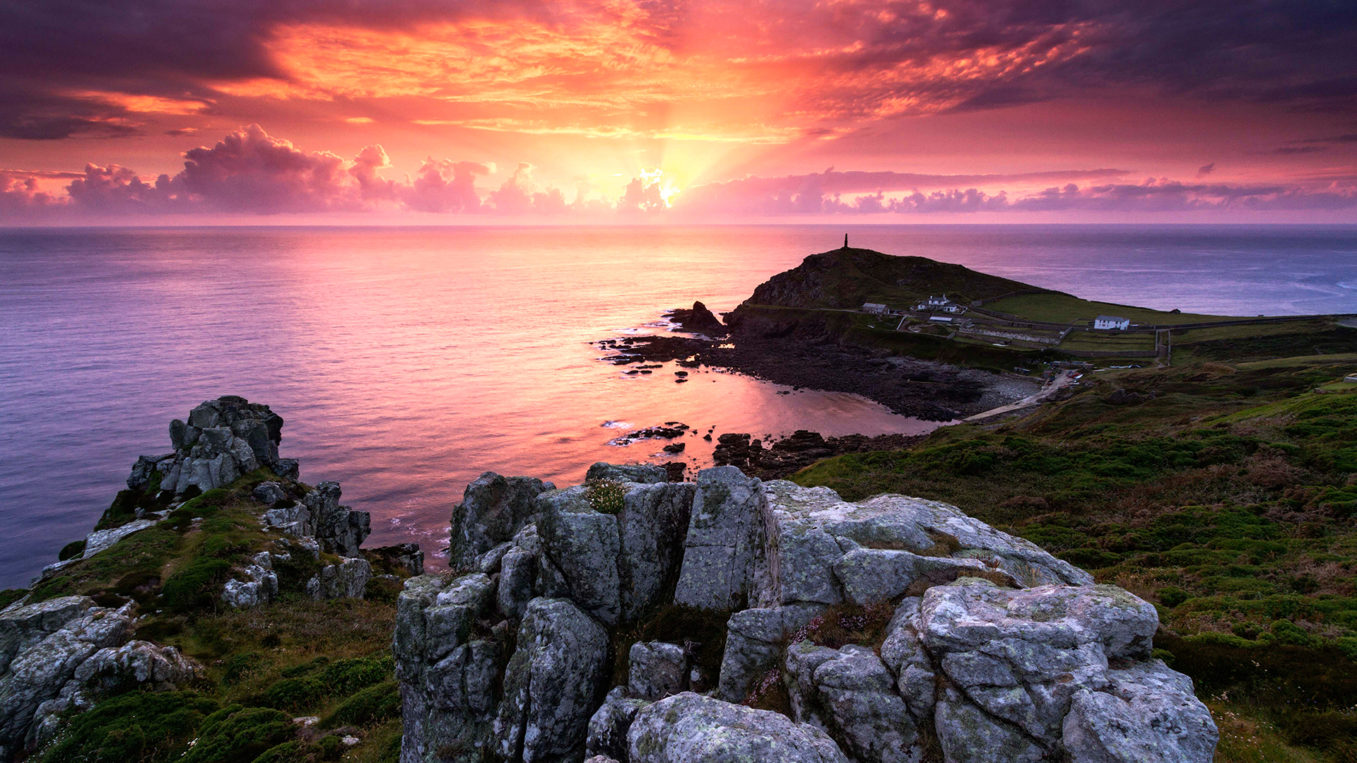 Wild Kingdom - E3 - Summer