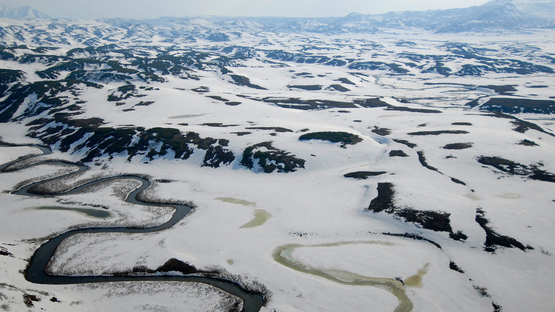 Wild Russia - E1 - Wild Russia