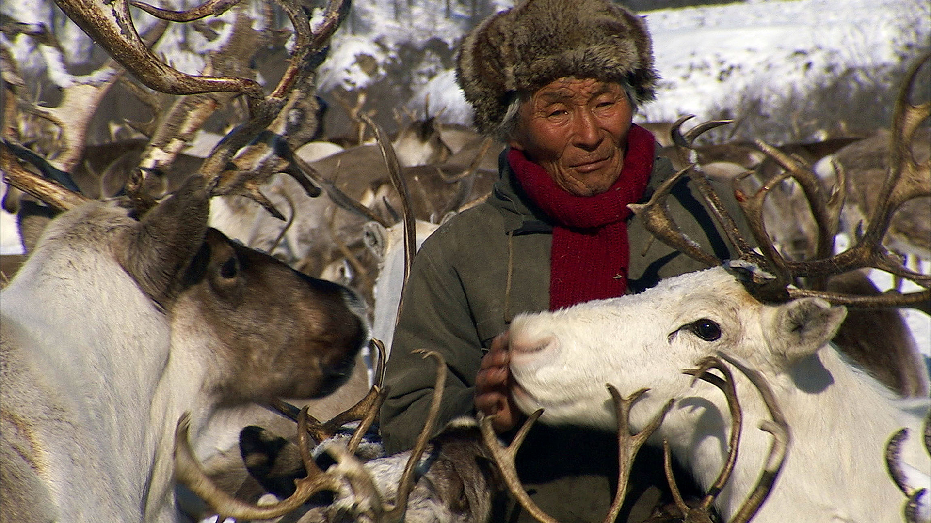Wild Russia - E4 - Wild Russia