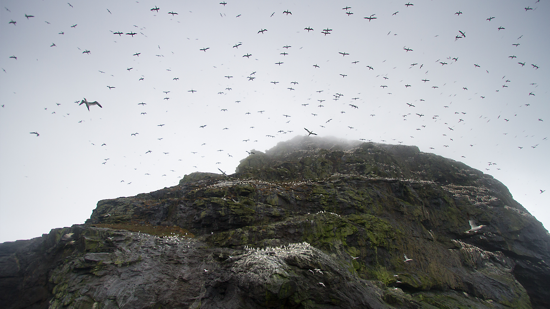 Wildest Islands - S1E5 - Hebrides: Land of Legends