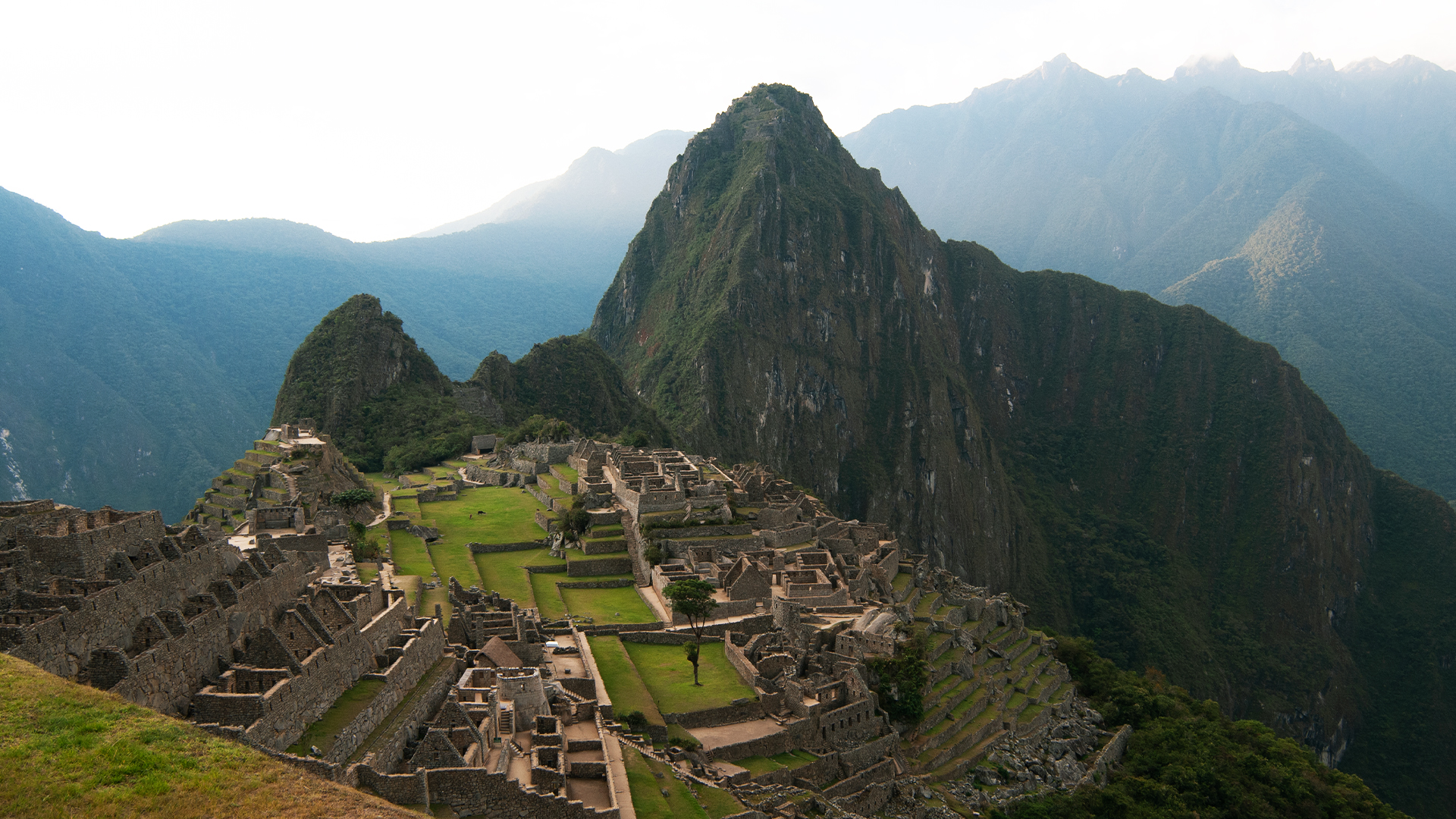 Wildest Latin America - E5 - The Andes: World in the Clouds