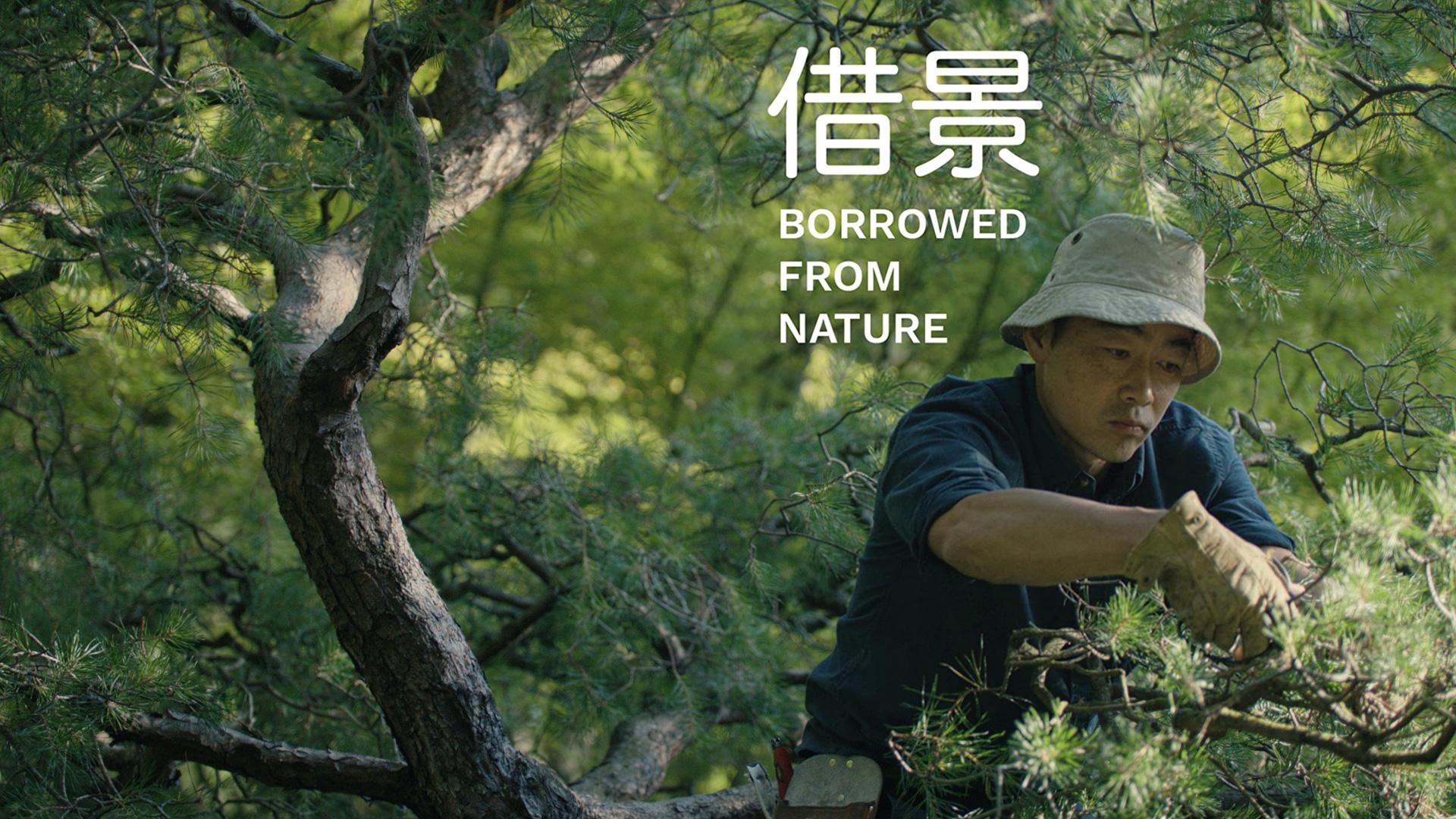 Borrowed from Nature