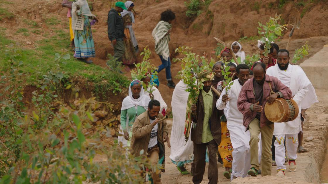 The Great Green Wall Knowledge.ca